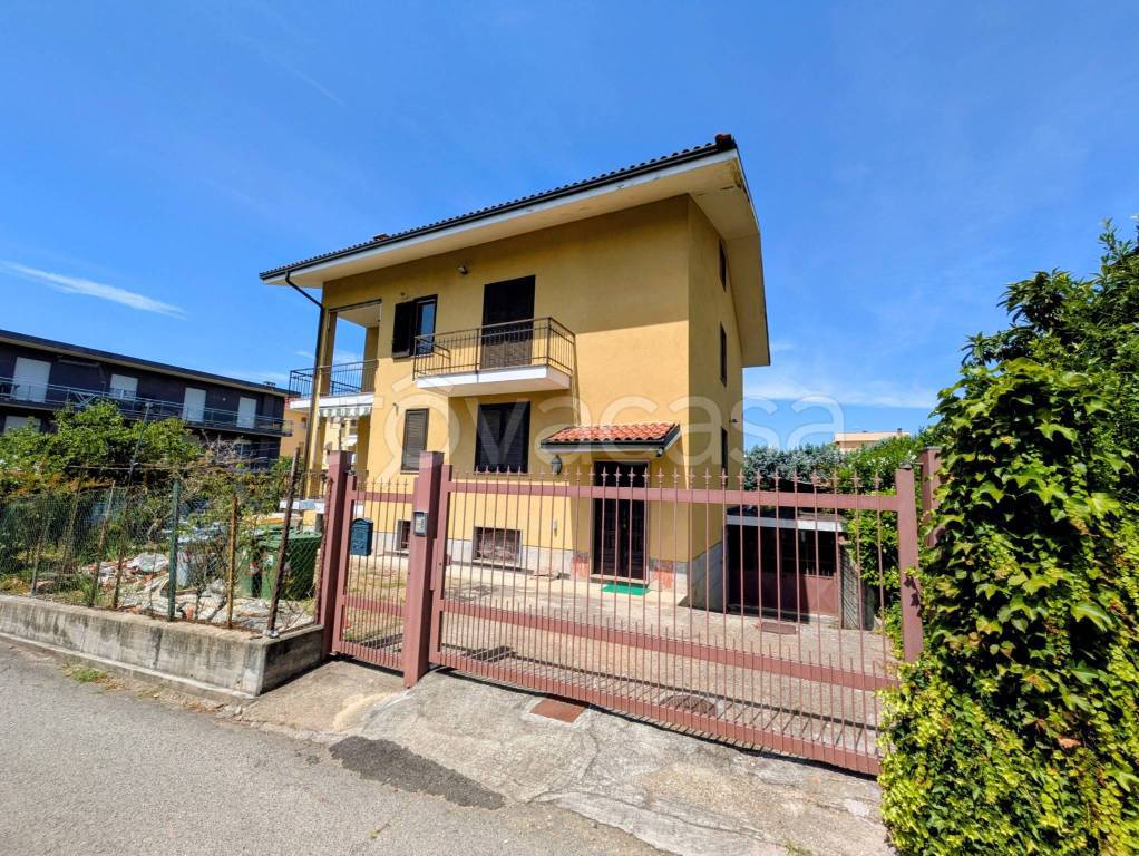 immagine annuncio 3 di 15