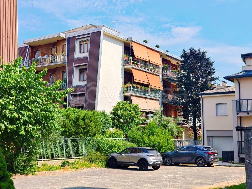immagine annuncio 1 di 15