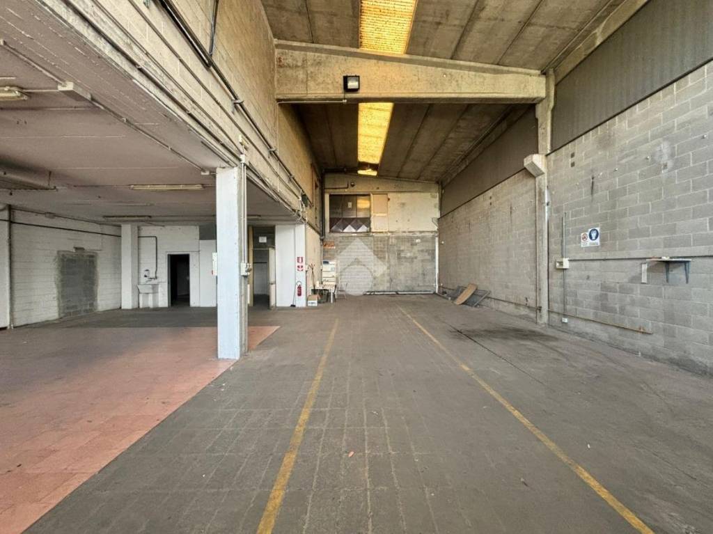 immagine annuncio 6 di 13