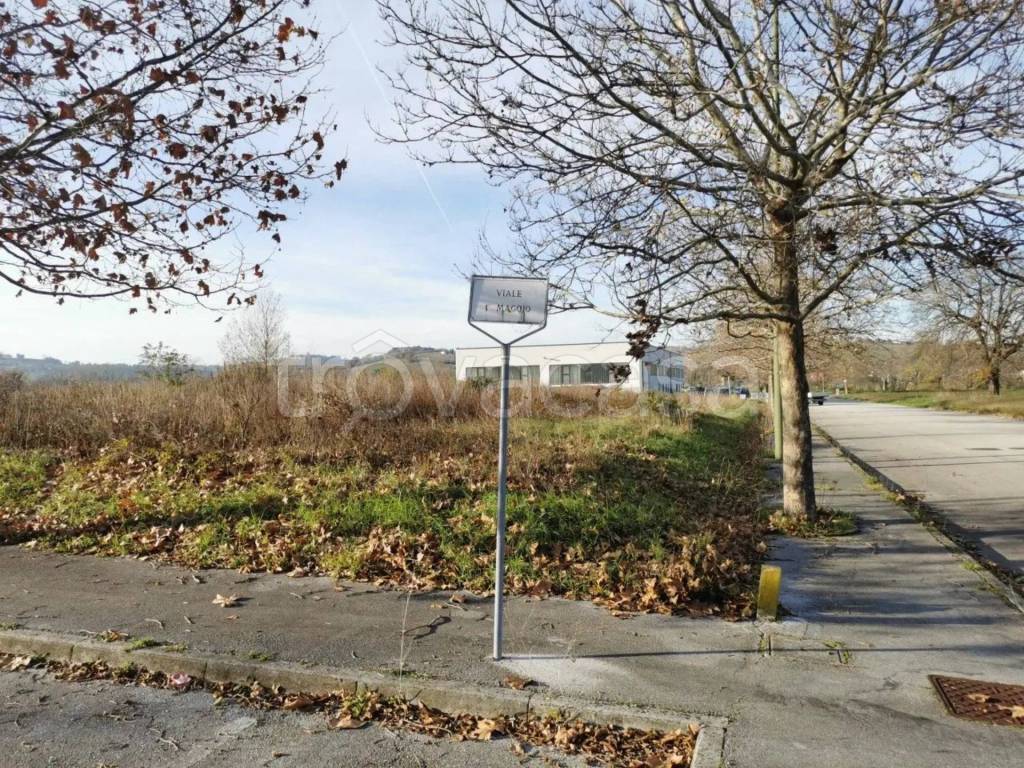 immagine annuncio 3 di 10