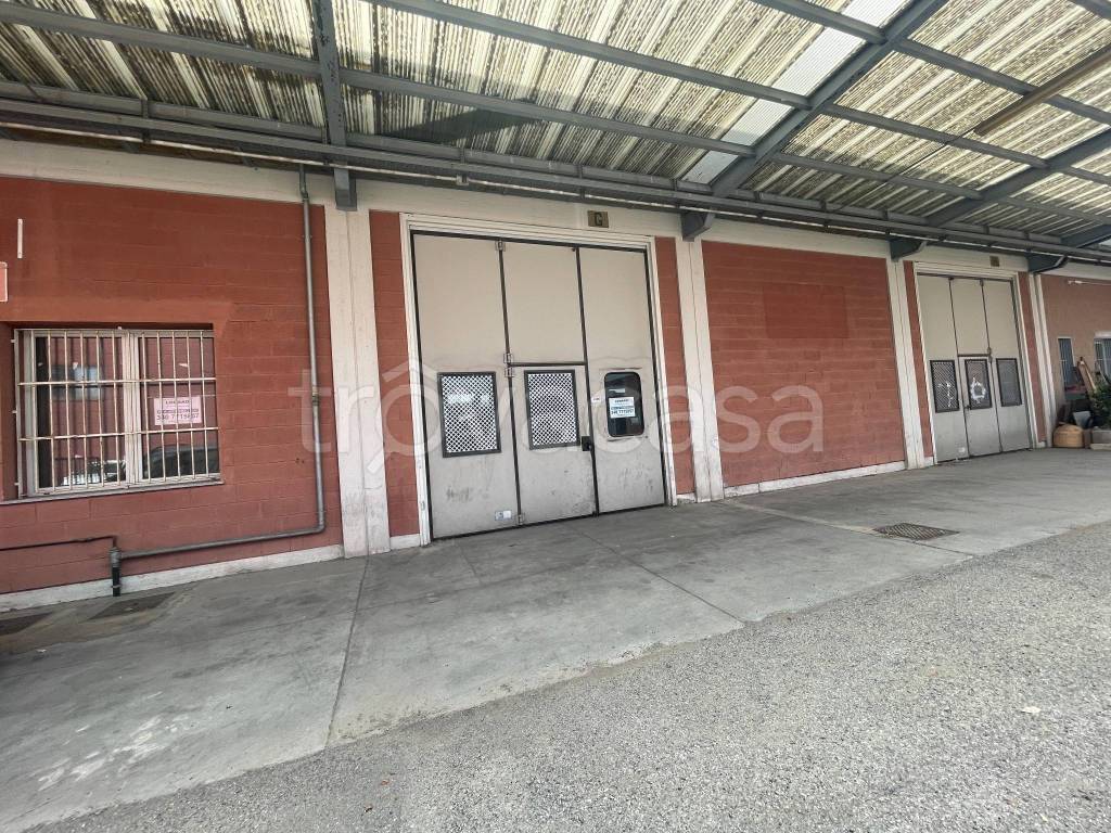 immagine annuncio 8 di 14