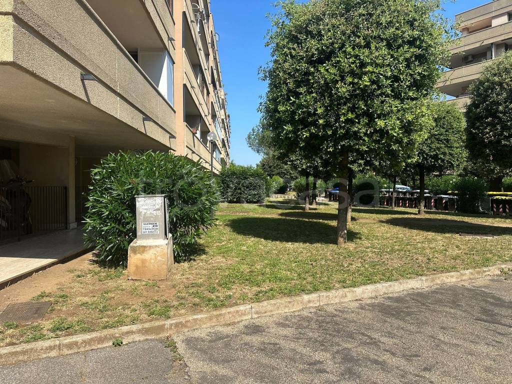 immagine annuncio 5 di 13