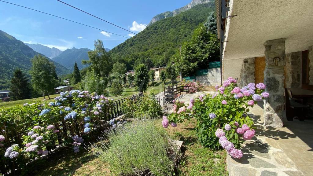 immagine annuncio 11 di 14