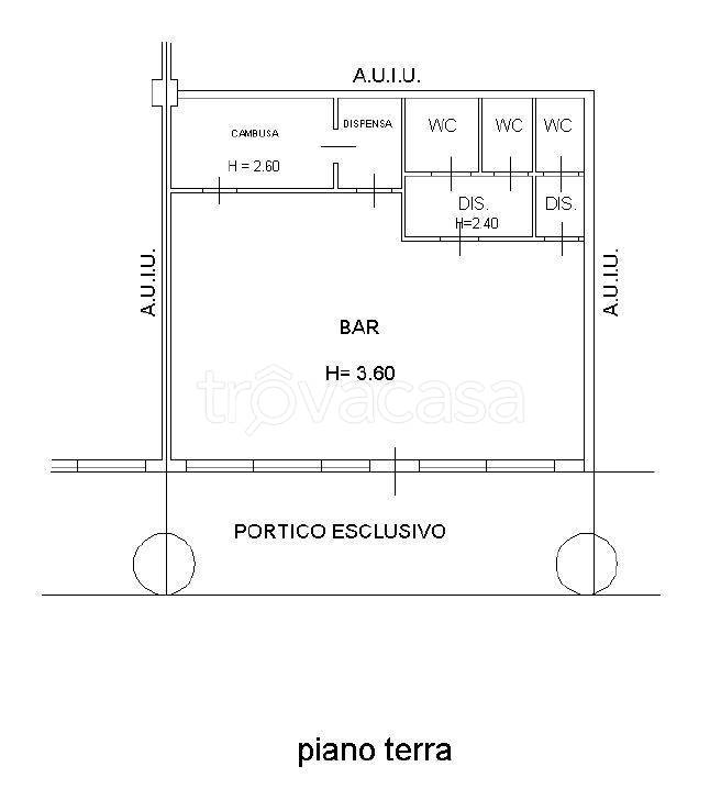 immagine annuncio 12 di 13