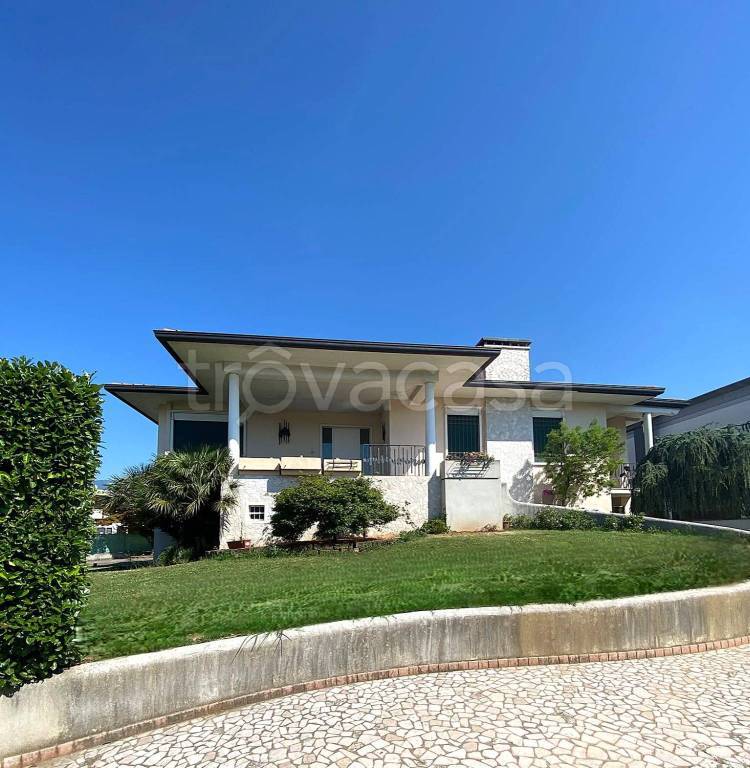 immagine annuncio 3 di 6