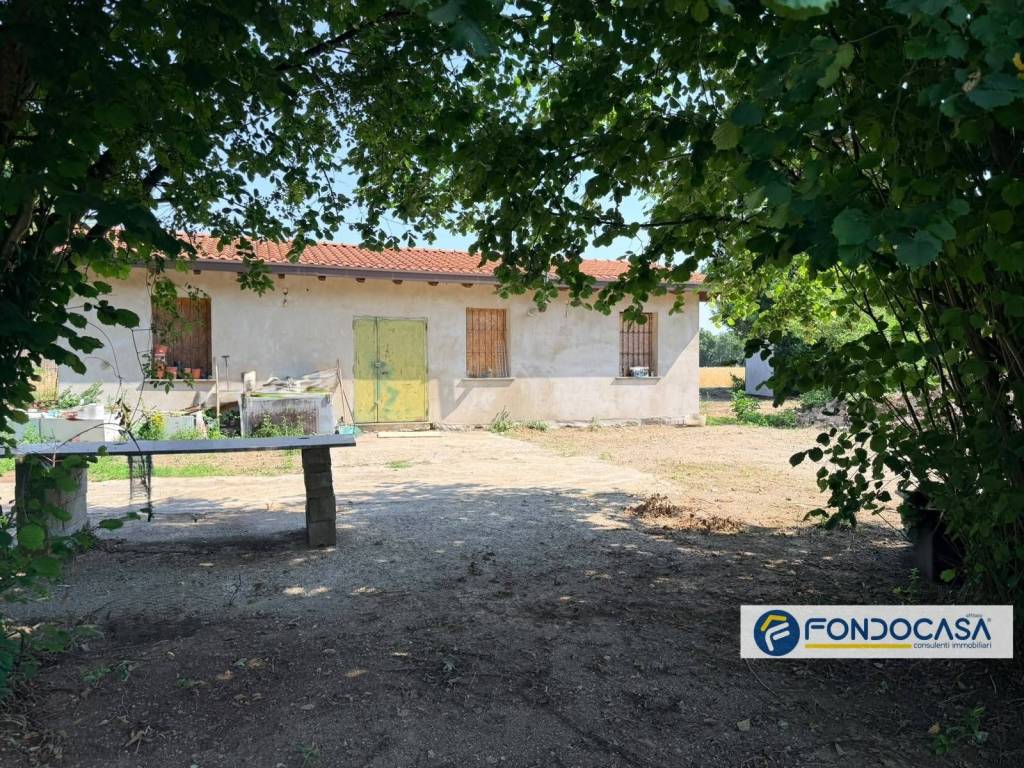 immagine annuncio 6 di 12
