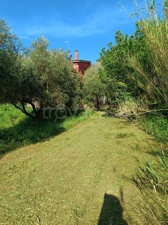 immagine annuncio 5 di 14