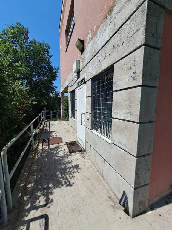 immagine annuncio 2 di 9