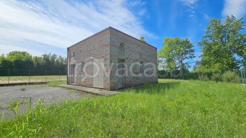 immagine annuncio 3 di 8