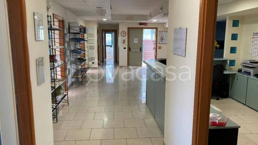 immagine annuncio 9 di 14