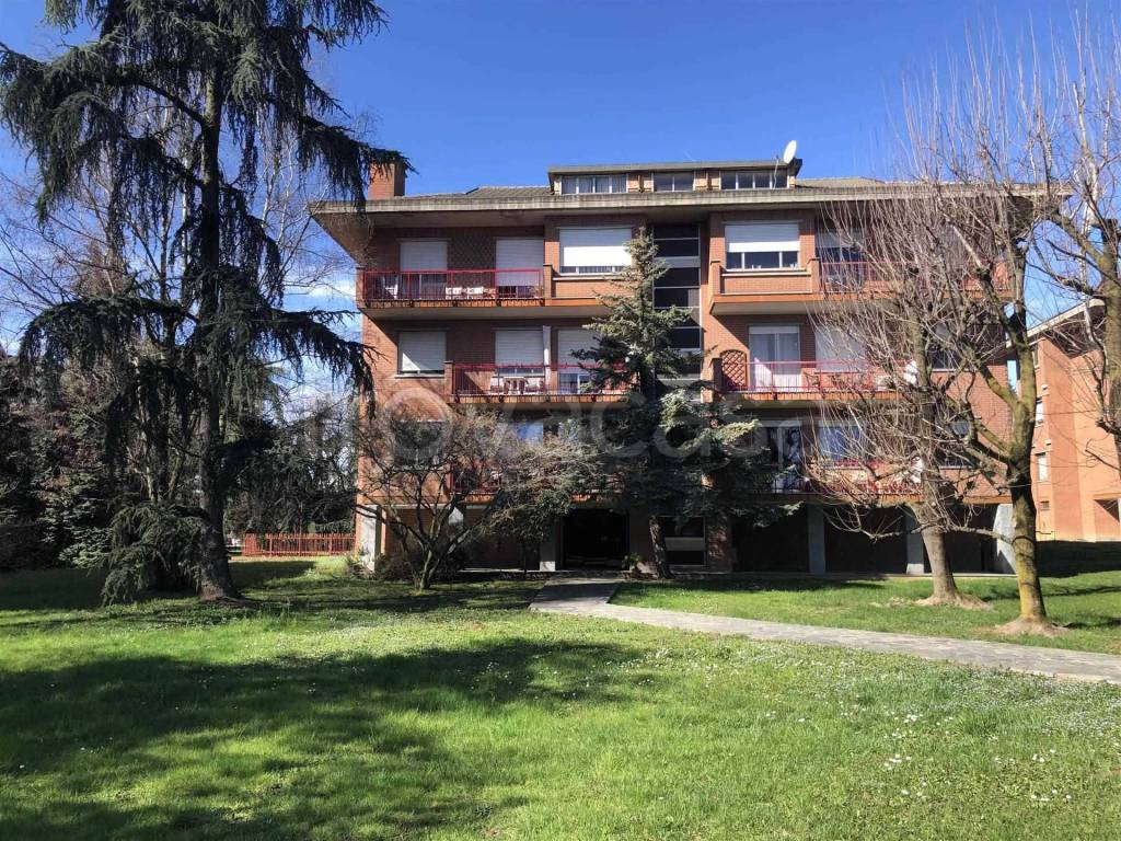 immagine annuncio 1 di 15