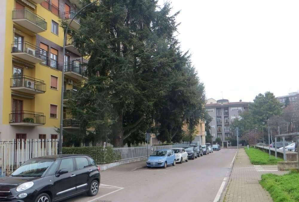 immagine annuncio 1 di 14