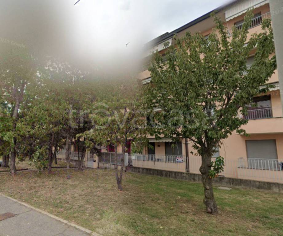 immagine annuncio 6 di 12