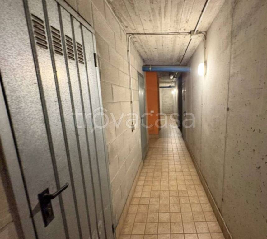 immagine annuncio 5 di 14