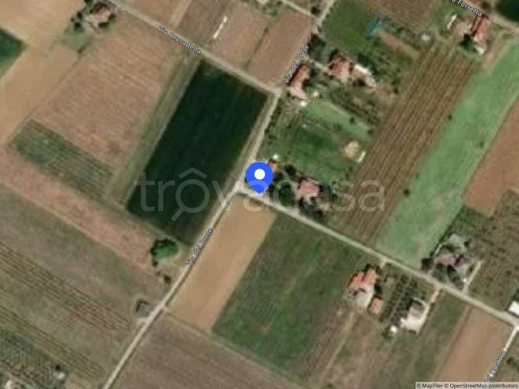 immagine annuncio 1 di 12