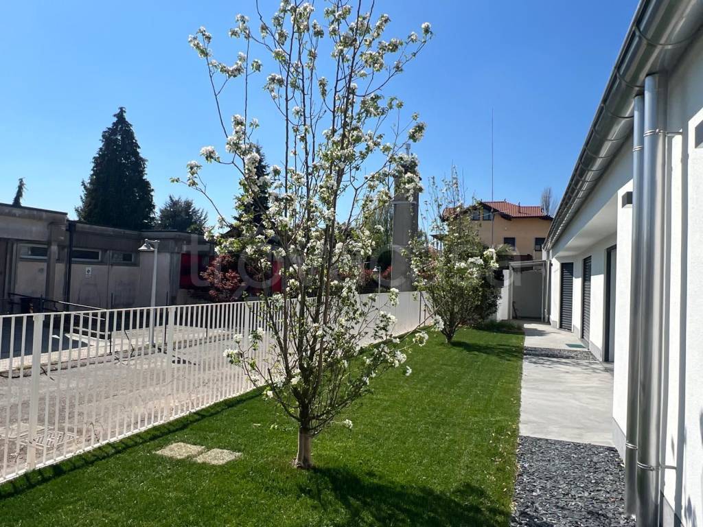 immagine annuncio 1 di 11