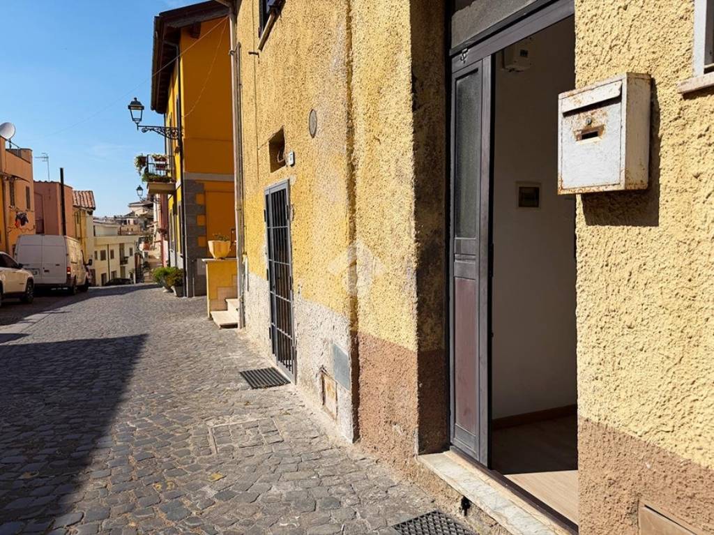 immagine annuncio 11 di 13