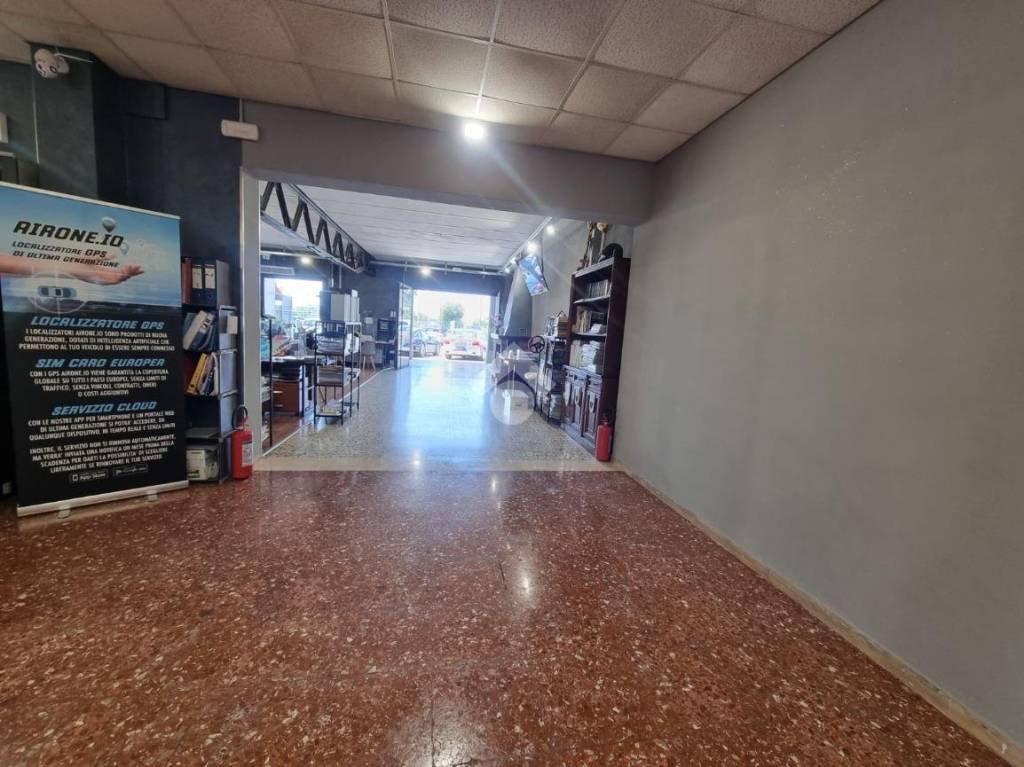immagine annuncio 1 di 15