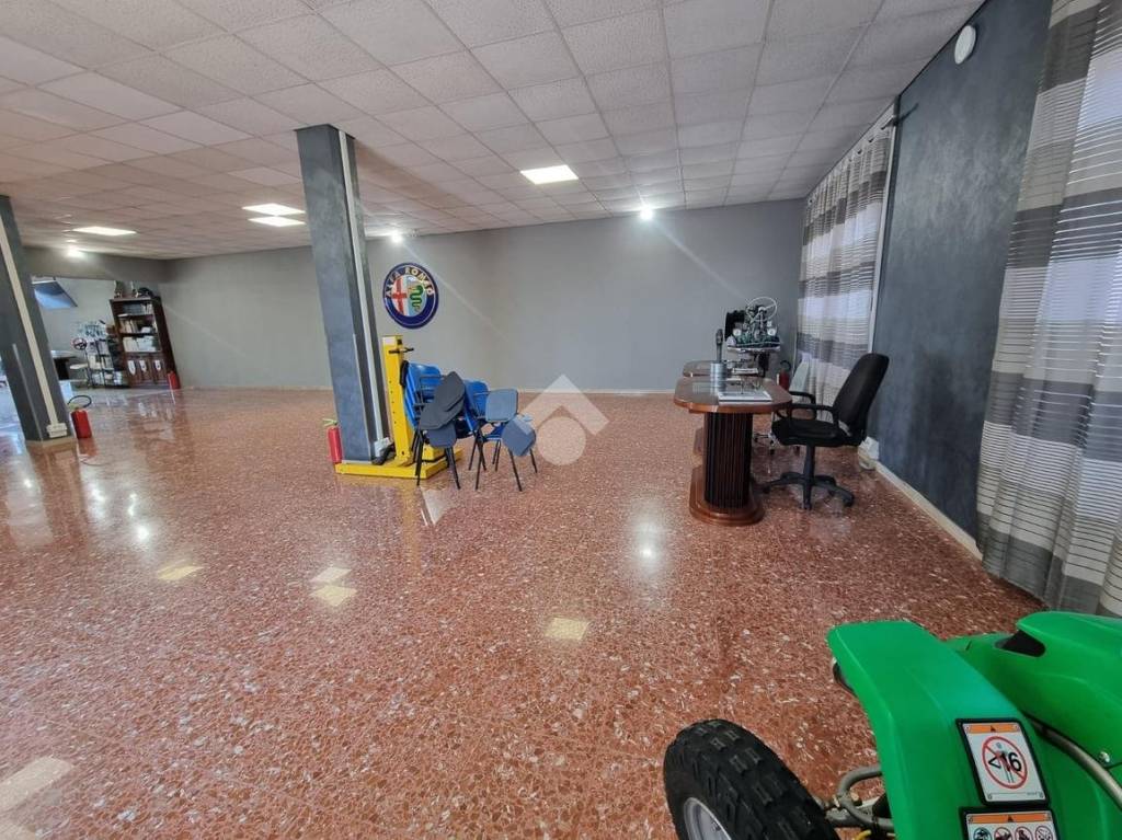 immagine annuncio 5 di 15