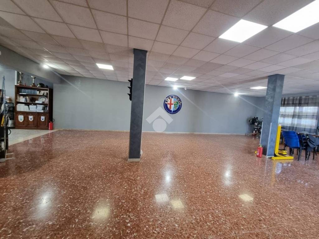 immagine annuncio 7 di 15