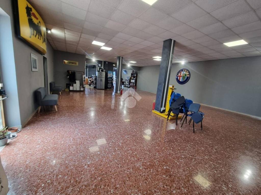 immagine annuncio 9 di 15