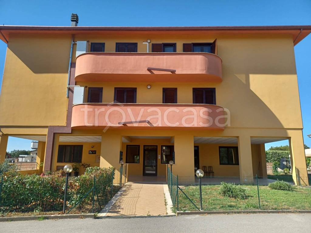 immagine annuncio 13 di 14