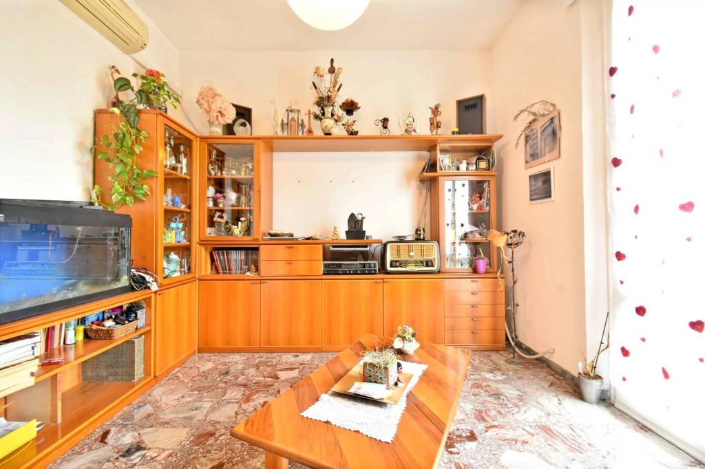 immagine annuncio 3 di 12