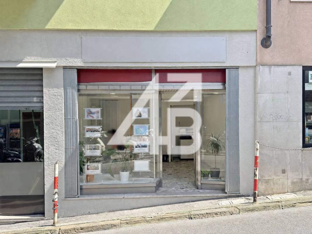 immagine annuncio 2 di 14