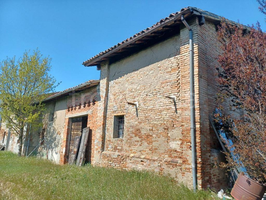 immagine annuncio 3 di 11