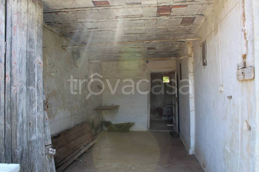 immagine annuncio 9 di 14