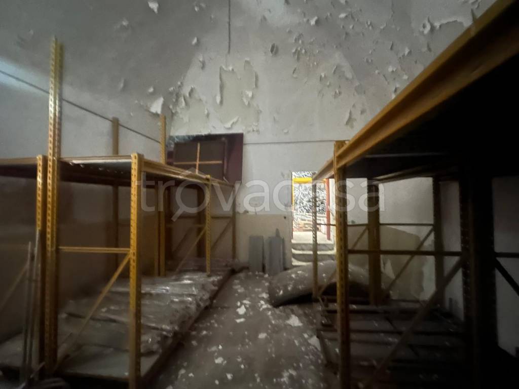 immagine annuncio 2 di 6