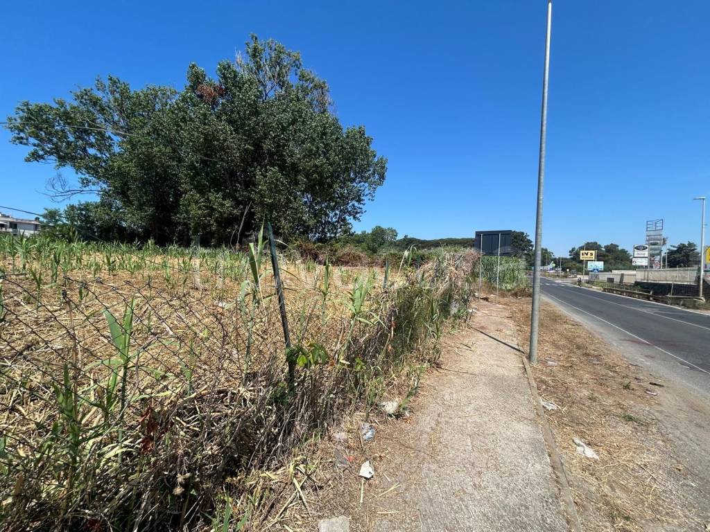 immagine annuncio 2 di 12