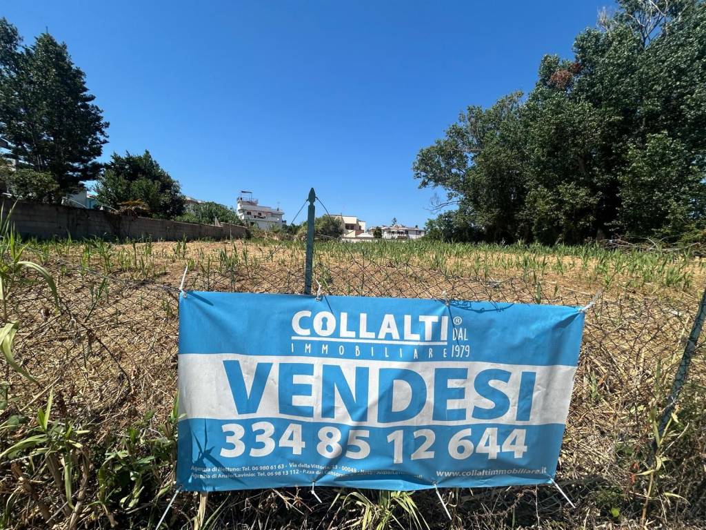 immagine annuncio 5 di 12