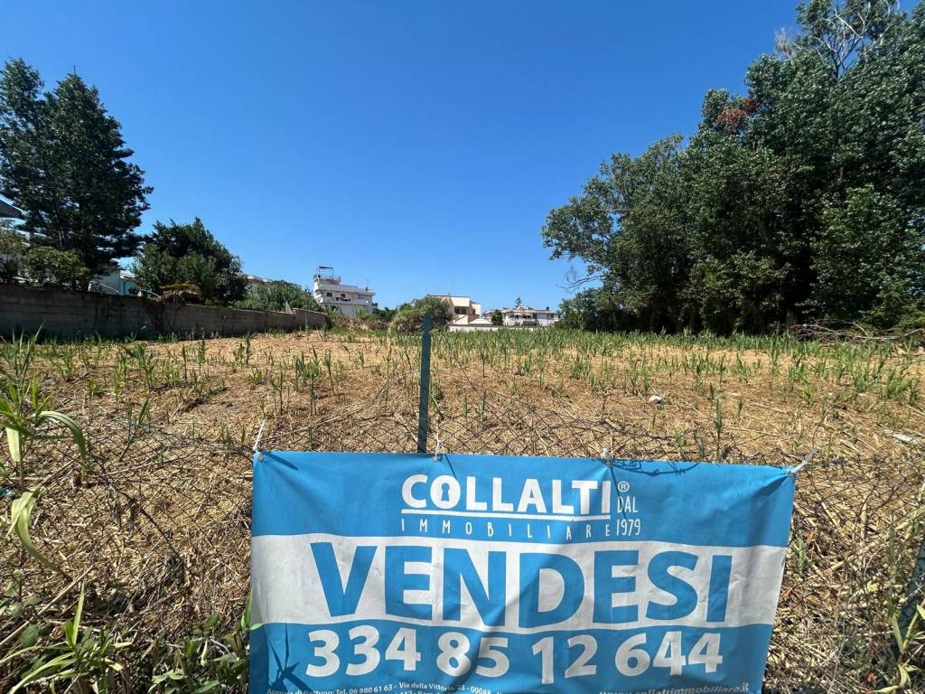 immagine annuncio 8 di 12