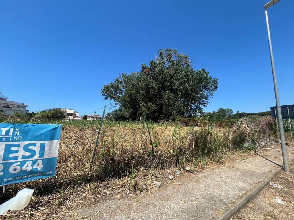 immagine annuncio 11 di 12