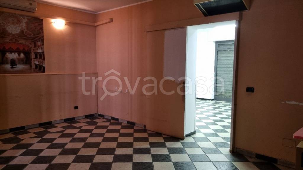 immagine annuncio 9 di 14