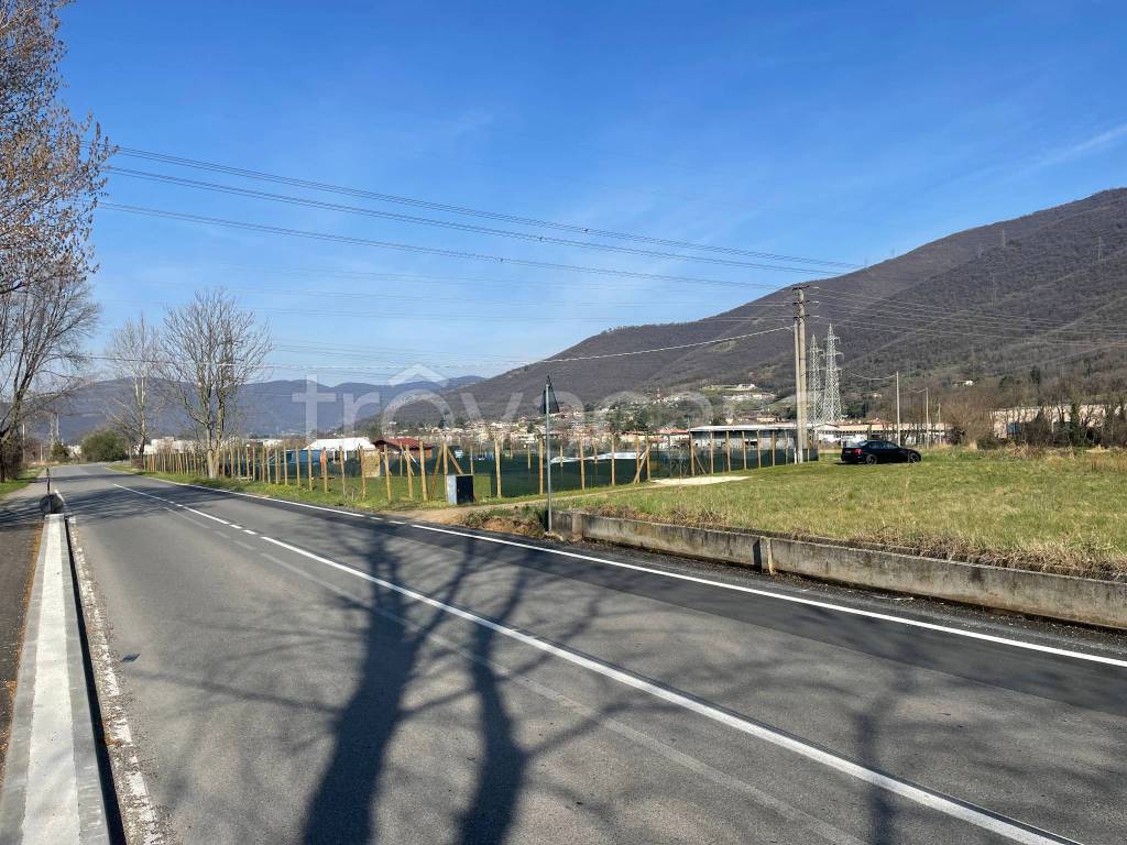 immagine annuncio 1 di 6