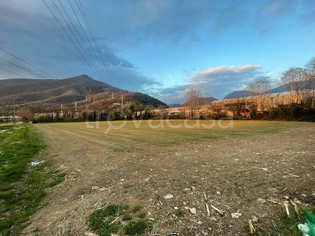 immagine annuncio 4 di 6
