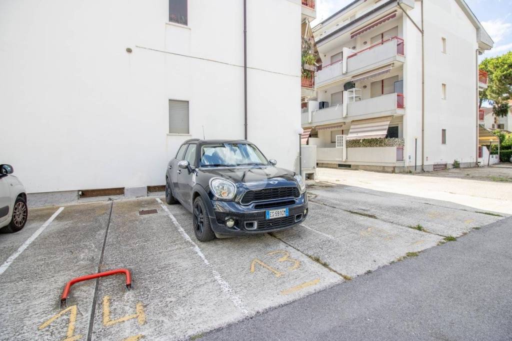 immagine annuncio 12 di 14