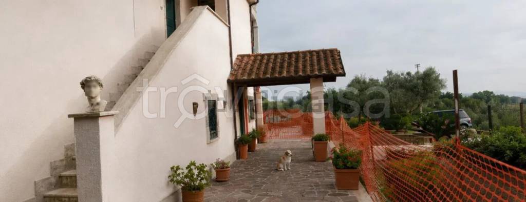 immagine annuncio 3 di 4