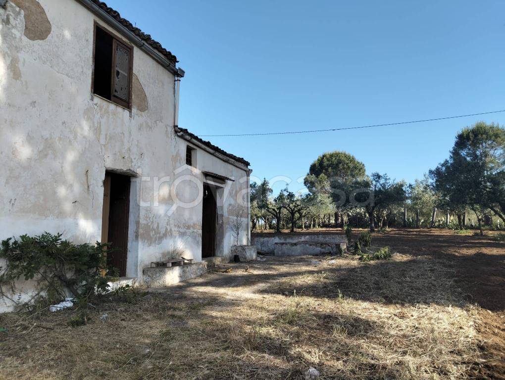 immagine annuncio 3 di 9