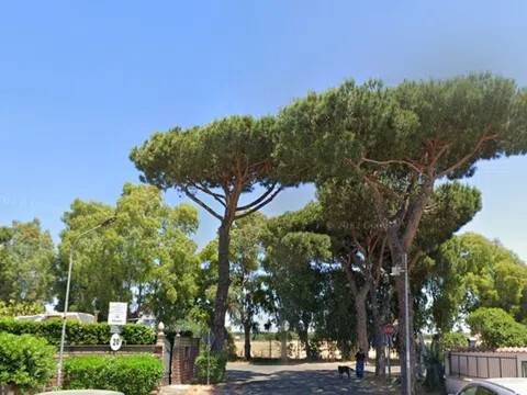 immagine annuncio 3 di 6