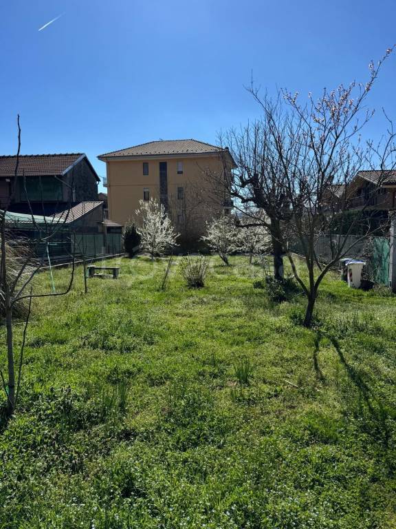 immagine annuncio 12 di 15