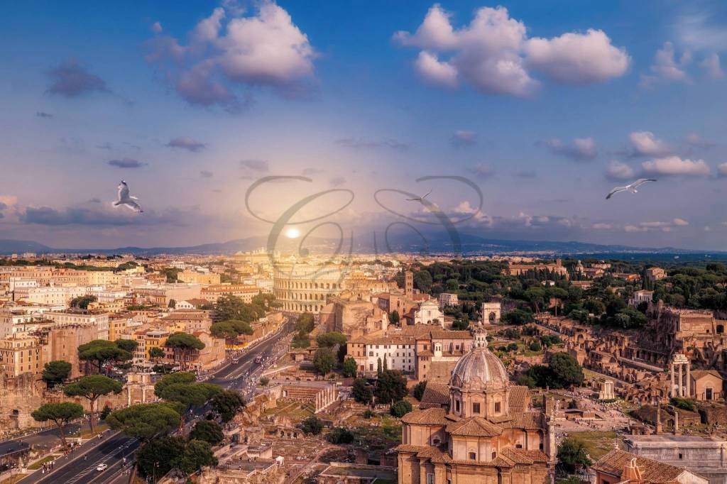 immagine annuncio 9 di 11