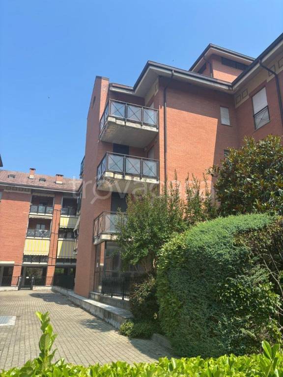 immagine annuncio 6 di 15