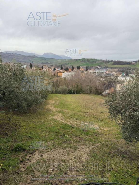 immagine annuncio 7 di 8