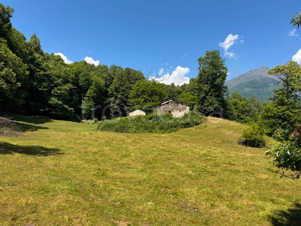 immagine annuncio 7 di 8