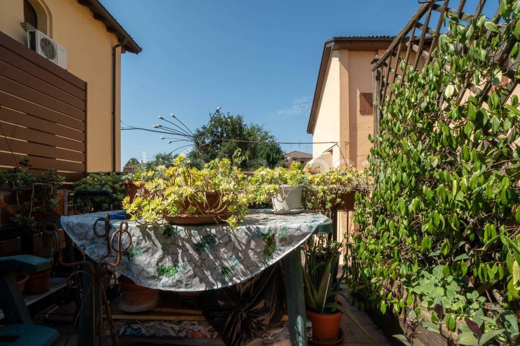 immagine annuncio 6 di 12