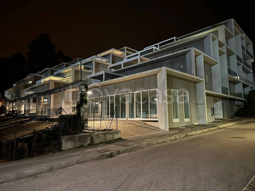 immagine annuncio 2 di 12