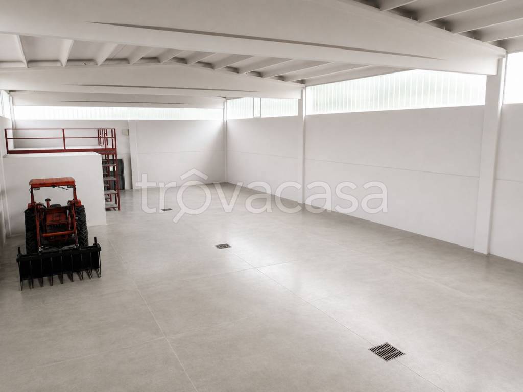 immagine annuncio 4 di 8